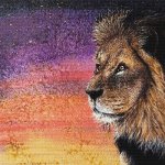 (image for) Lion